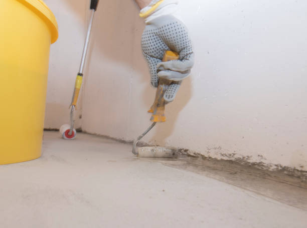 Best Pest Exclusion Services  in Rockland, ME